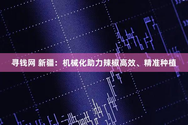 寻钱网 新疆：机械化助力辣椒高效、精准种植