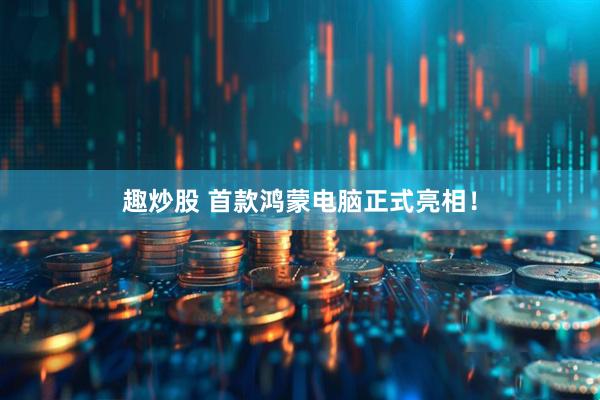 趣炒股 首款鸿蒙电脑正式亮相！