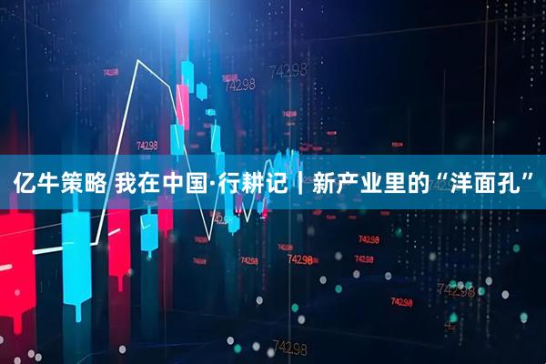 亿牛策略 我在中国·行耕记｜新产业里的“洋面孔”