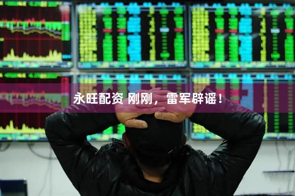 永旺配资 刚刚，雷军辟谣！