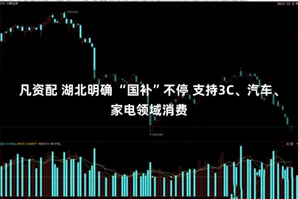 凡资配 湖北明确 “国补”不停 支持3C、汽车、家电领域消费