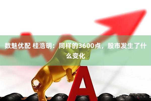 数魅优配 桂浩明：同样的3600点，股市发生了什么变化
