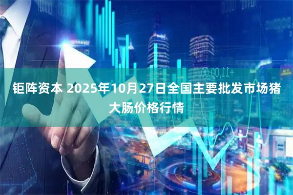 钜阵资本 2025年10月27日全国主要批发市场猪大肠价格行情