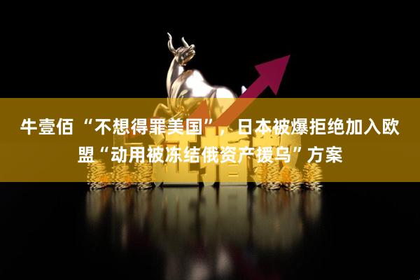 牛壹佰 “不想得罪美国”，日本被爆拒绝加入欧盟“动用被冻结俄资产援乌”方案