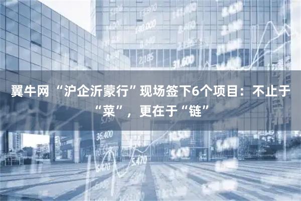 翼牛网 “沪企沂蒙行”现场签下6个项目:不止于“菜”,更在于“链”