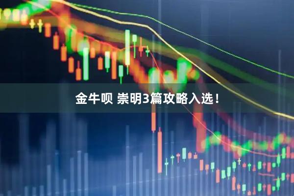 金牛呗 崇明3篇攻略入选！