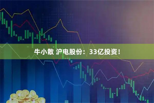 牛小散 沪电股份：33亿投资！